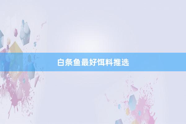 白条鱼最好饵料推选